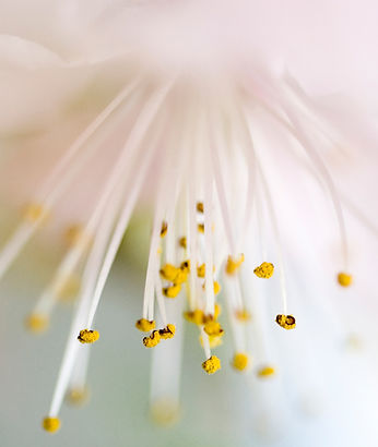 California Child Care Initiative Project